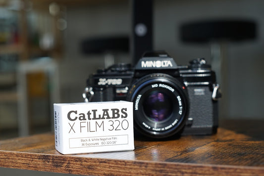 モノクロフィルム"CatLABS 320"で撮ってみた!🐈