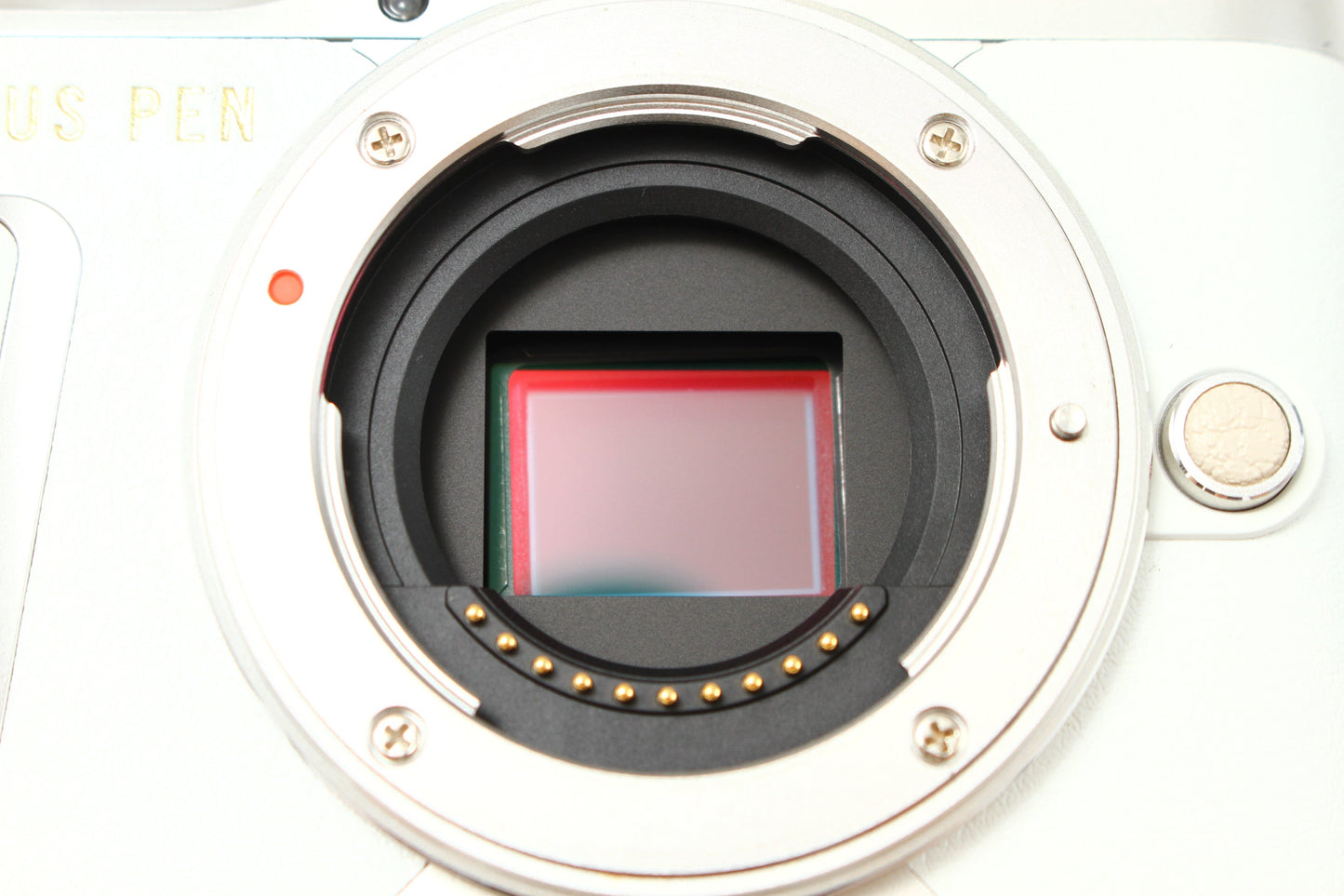 E-PL9 ホワイト + ED 14-42 EZ レンズキット