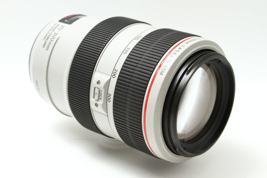 EF 70-300/4-5.6 L IS USM