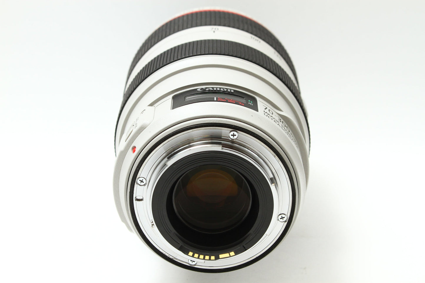 EF 70-300/4-5.6 L IS USM