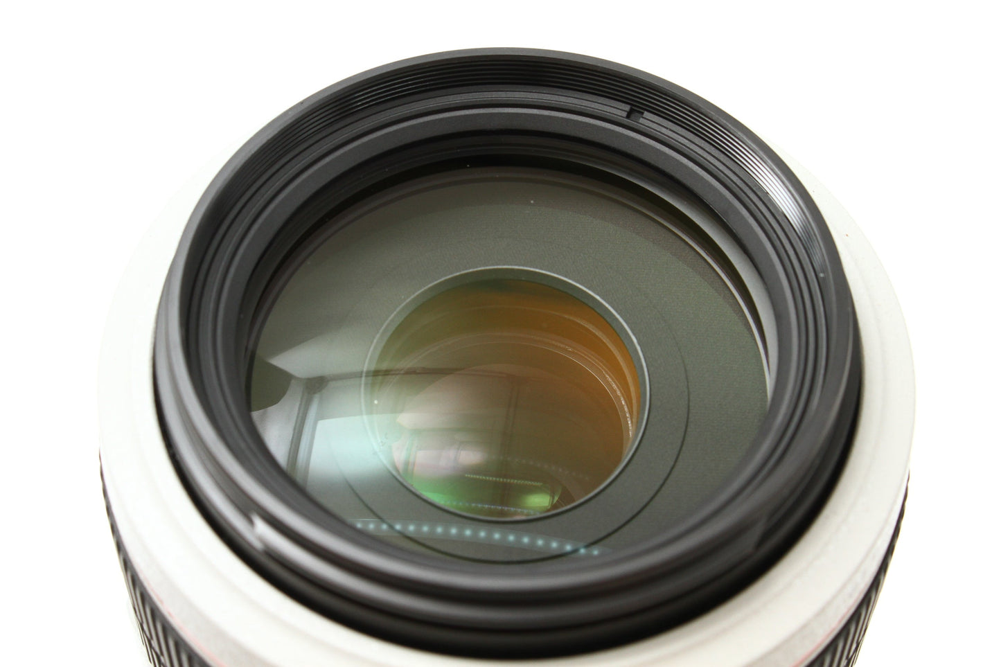 EF 70-300/4-5.6 L IS USM
