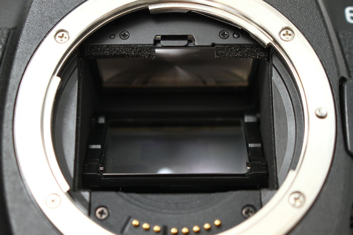 EOS 5D Mark II + BG-E6