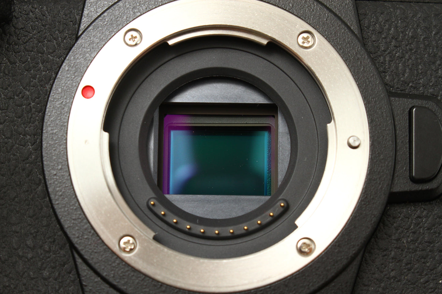 LUMIX DC-G99 + DMW-BGG1