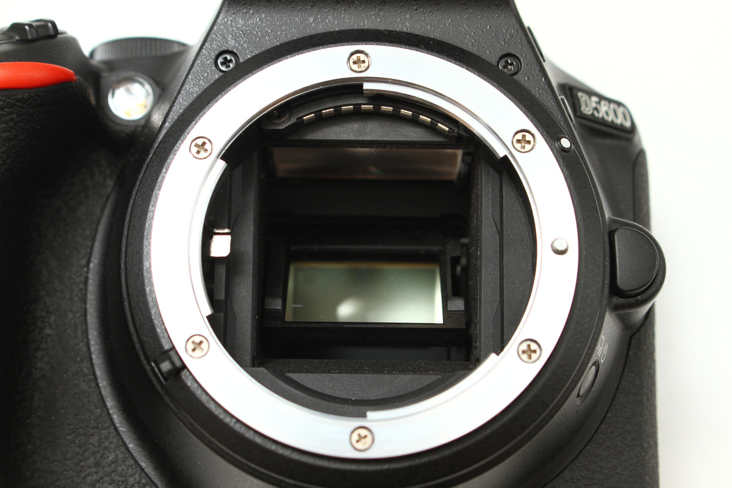 D5600