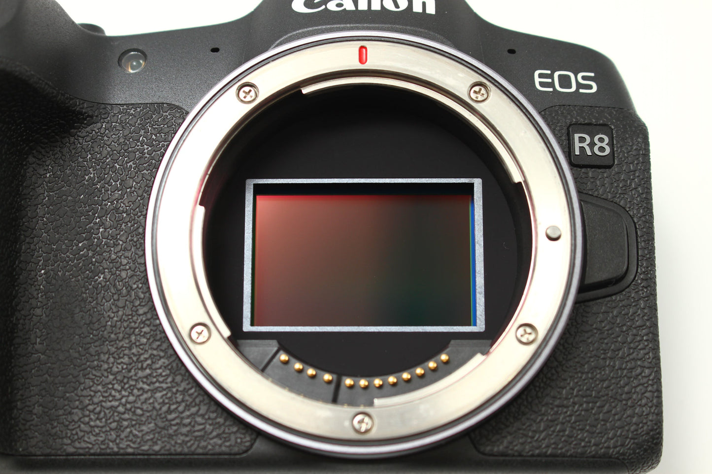 EOS R8