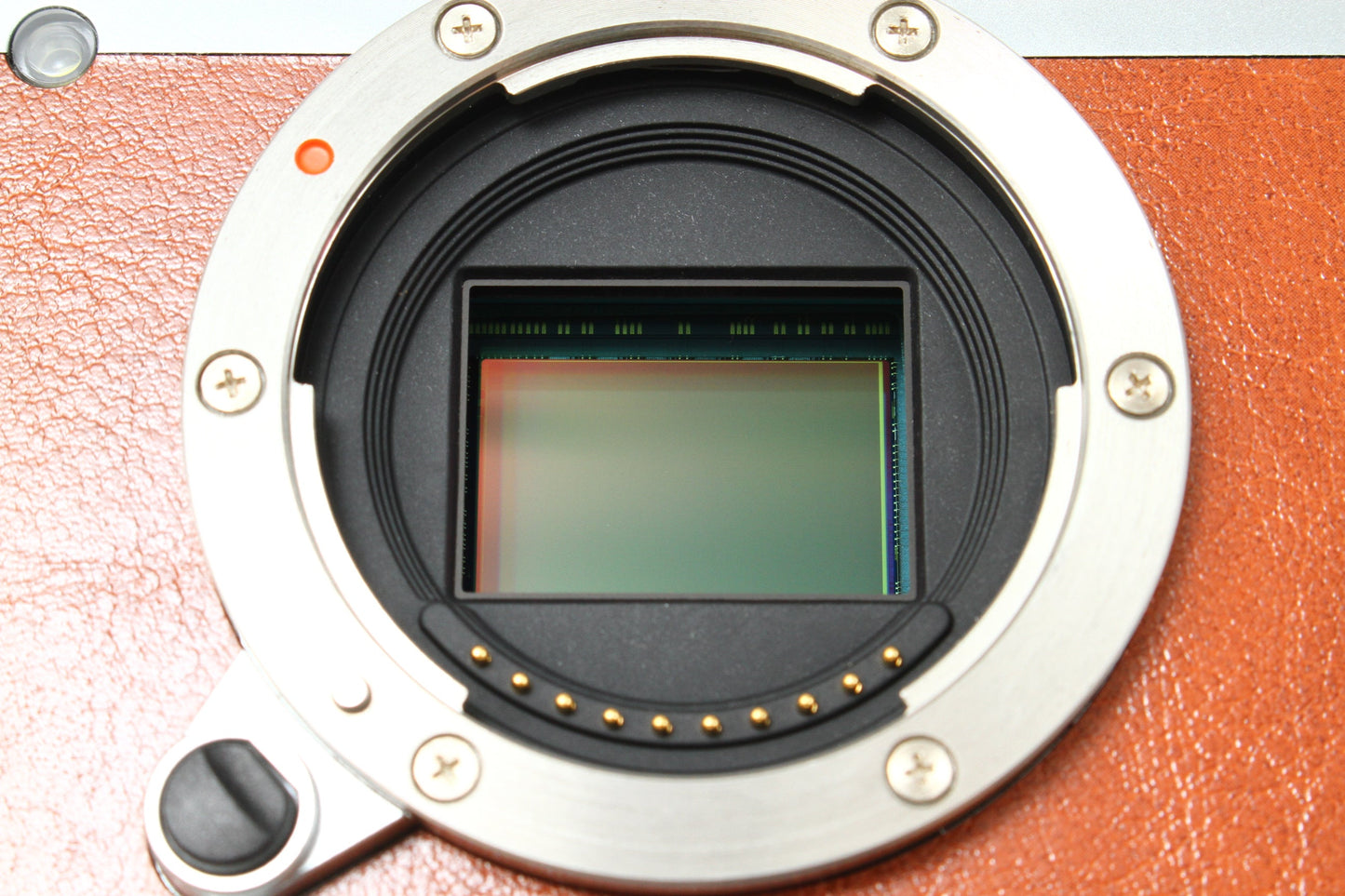 X-M1 ブラウン