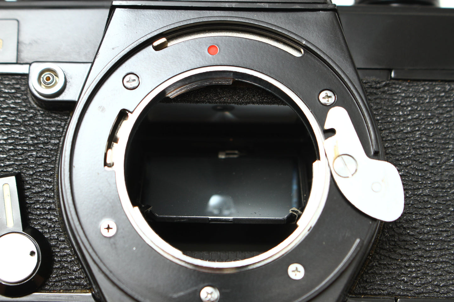 RE300