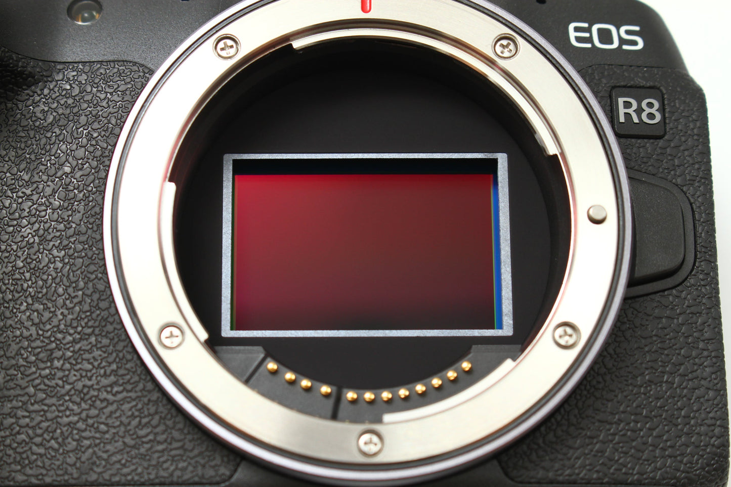 EOS R8 + RF 24-50 レンズキット