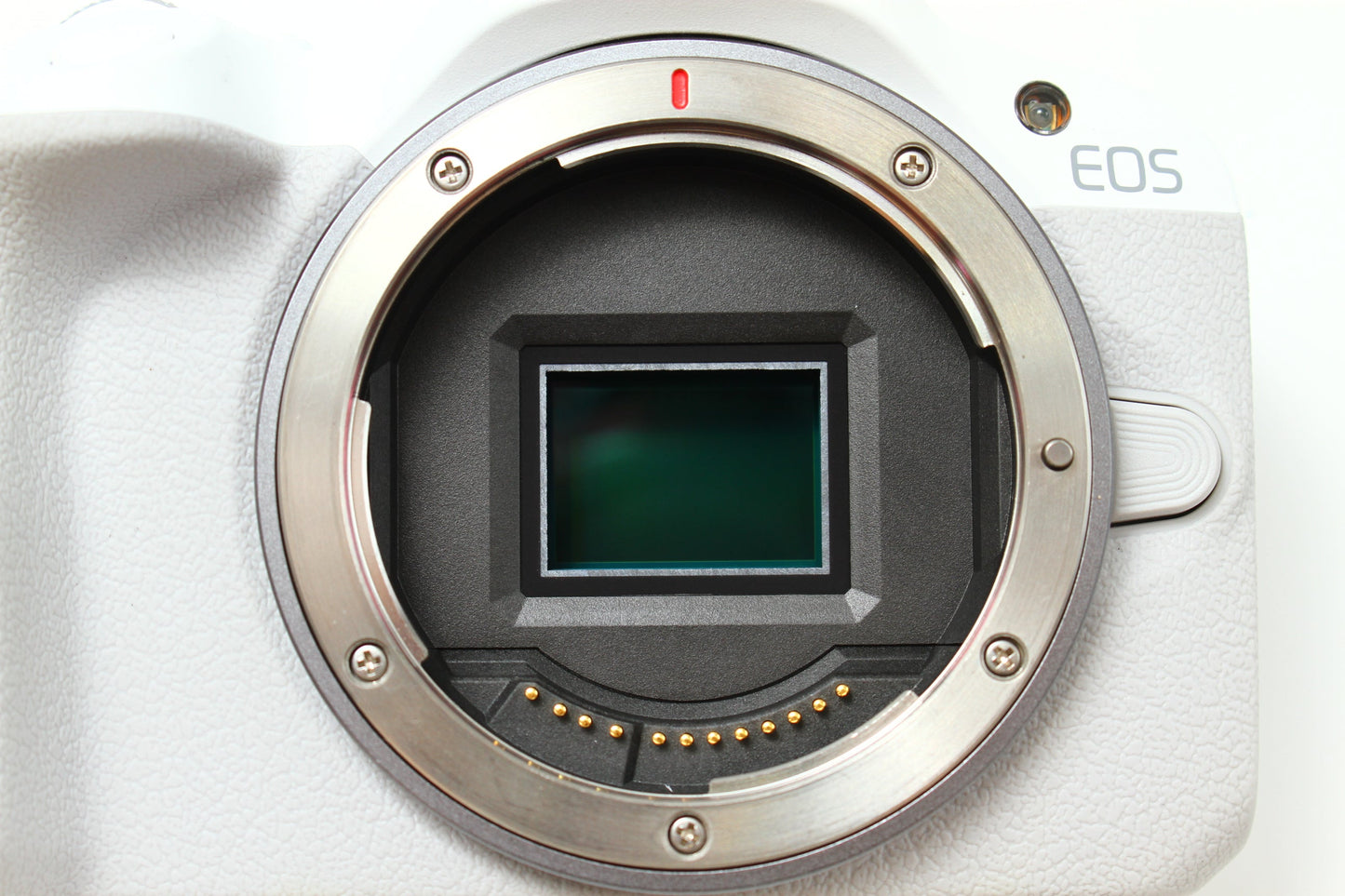 EOS R50 ホワイト + RF-S 18-45 レンズキット