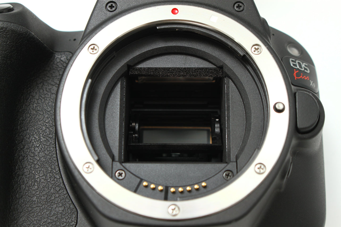 EOS Kiss X9 + 18-55/3.5-5.6 IS STM レンズキット