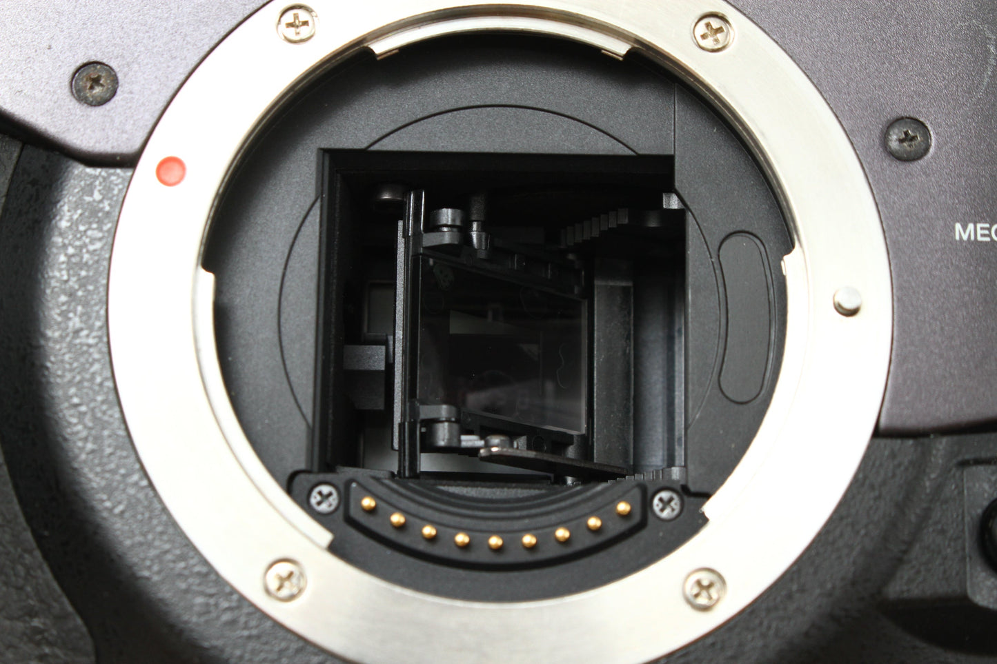 E-300 + 14-42 レンズキット