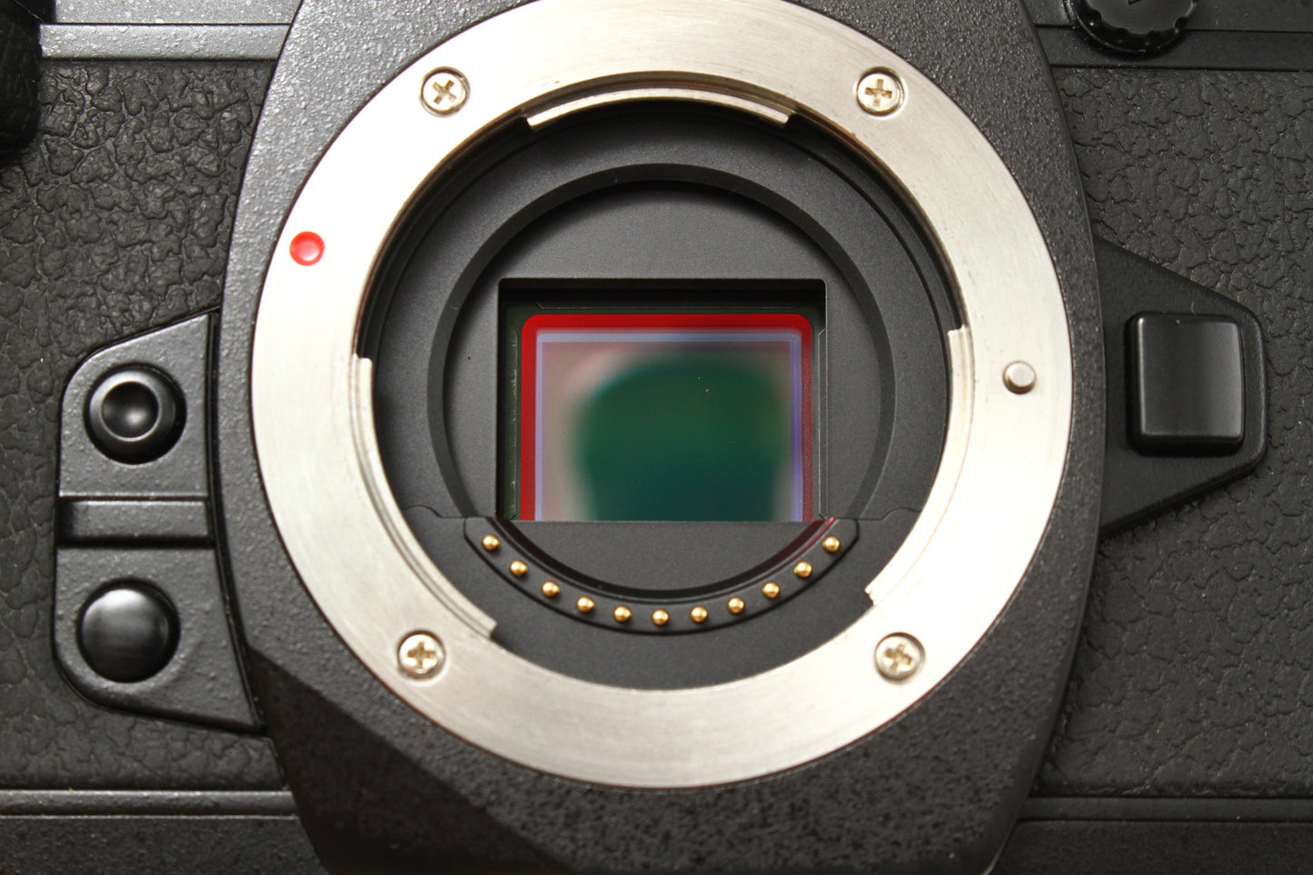 OM-D E-M1
