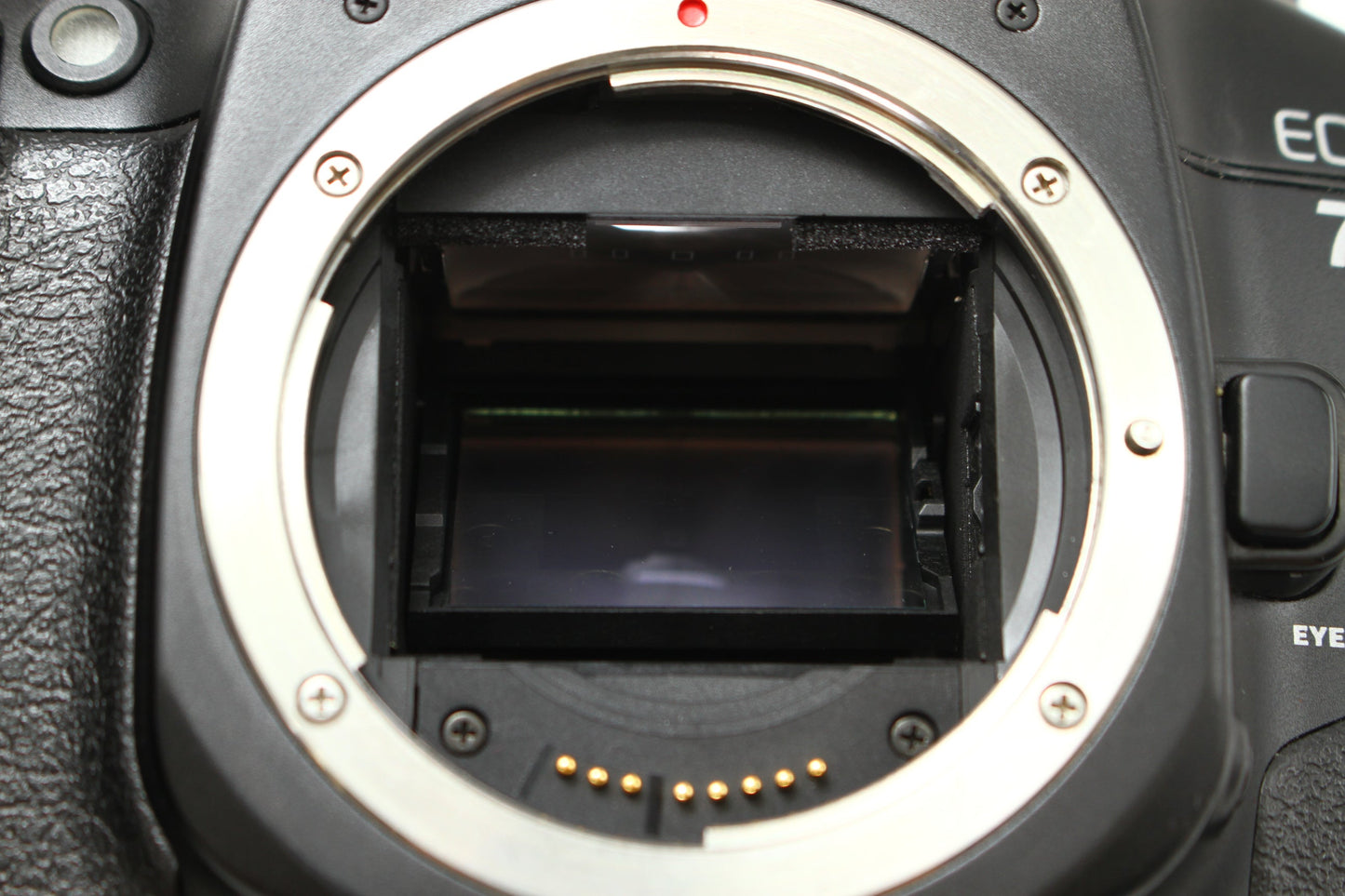 EOS 7