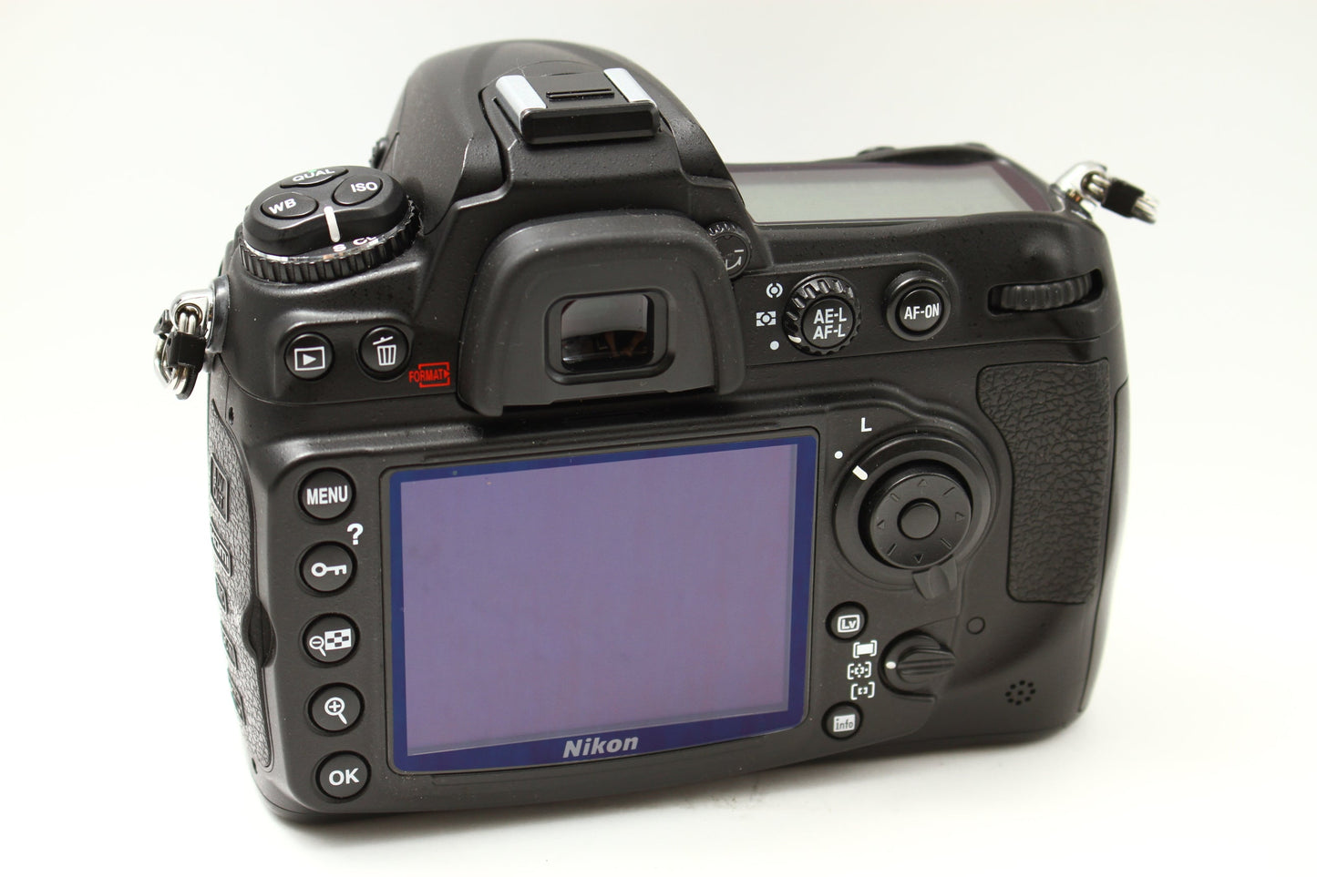 D300s