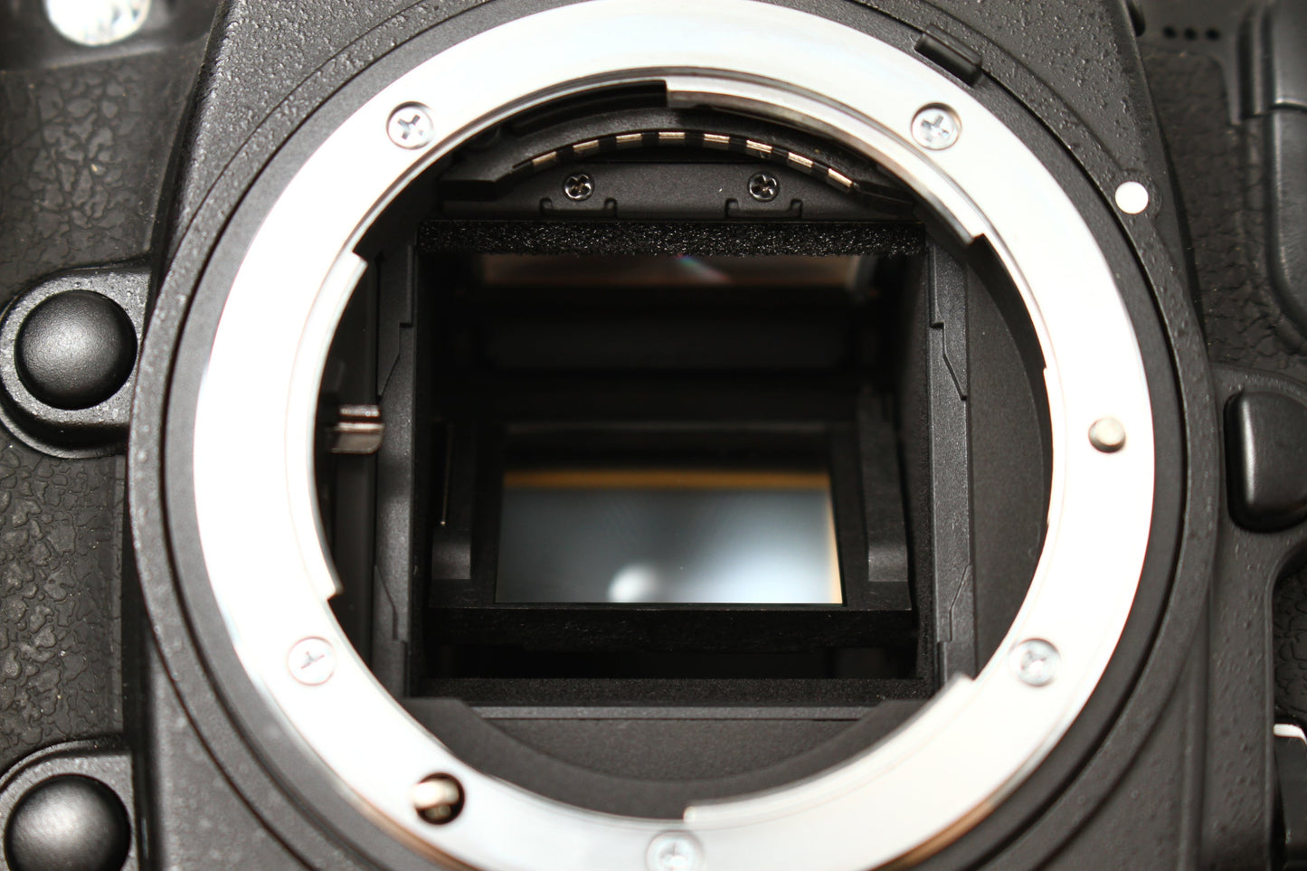D300s
