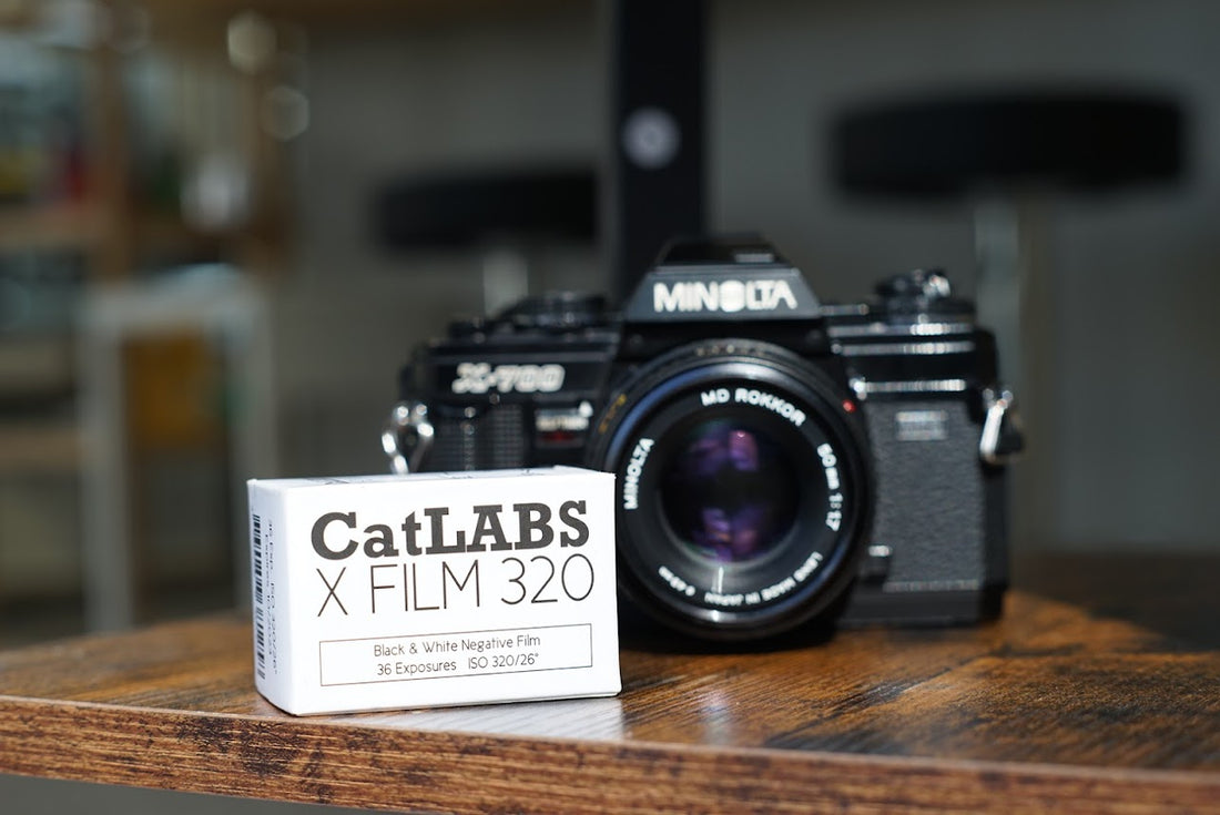 モノクロフィルム"CatLABS 320"で撮ってみた！🐈