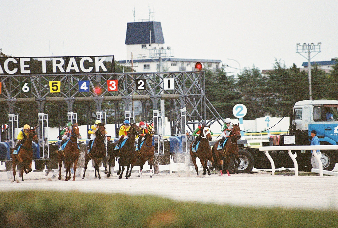 🎞️Lomography LomoChrome Color ’92 Sun-kissed 400 135-36 カラーネガフィルム