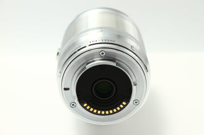 1 NIKKOR VR 10-100/4-5.6 シルバー