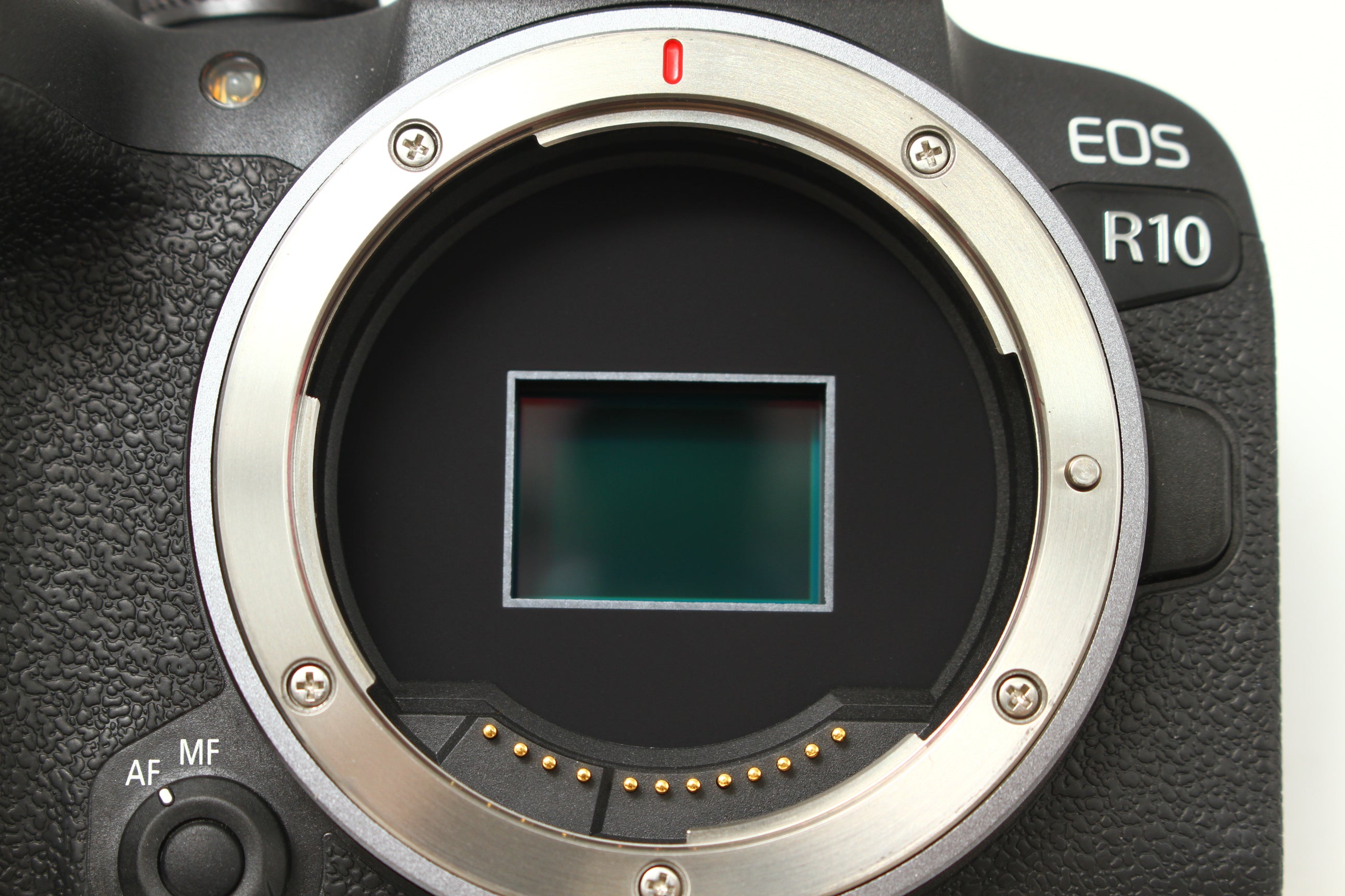 Canon (キヤノン) EOS R10 デジタルカメラ ミラーレス – にっしん