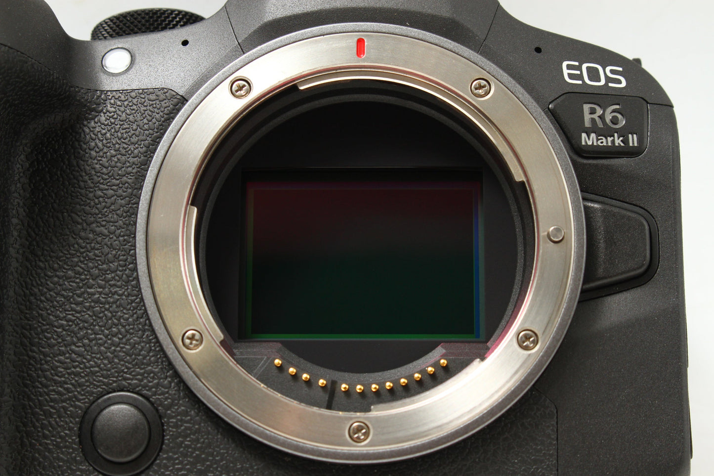 EOS R6 Mark II