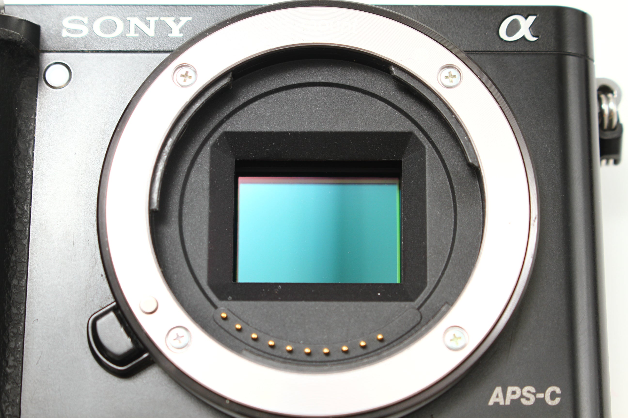 SONY (ソニー) α6000 ブラック デジタルカメラ ミラーレス – にっしん