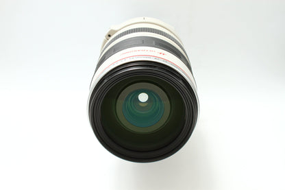 EF 28-300/3.5-5.6 L IS USM