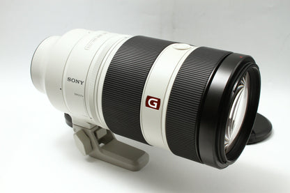 FE 100-400/4.5-5.6 GM OSS