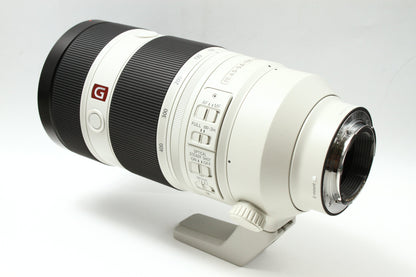 FE 100-400/4.5-5.6 GM OSS