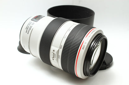 EF 70-300/4-5.6 L IS USM