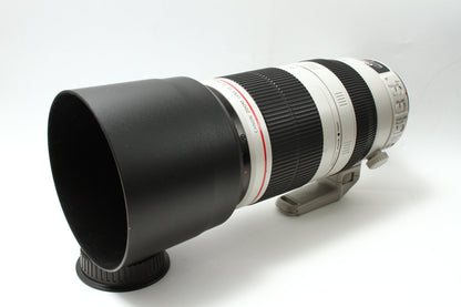 EF 100-400/4.5-5.6 L IS II USM