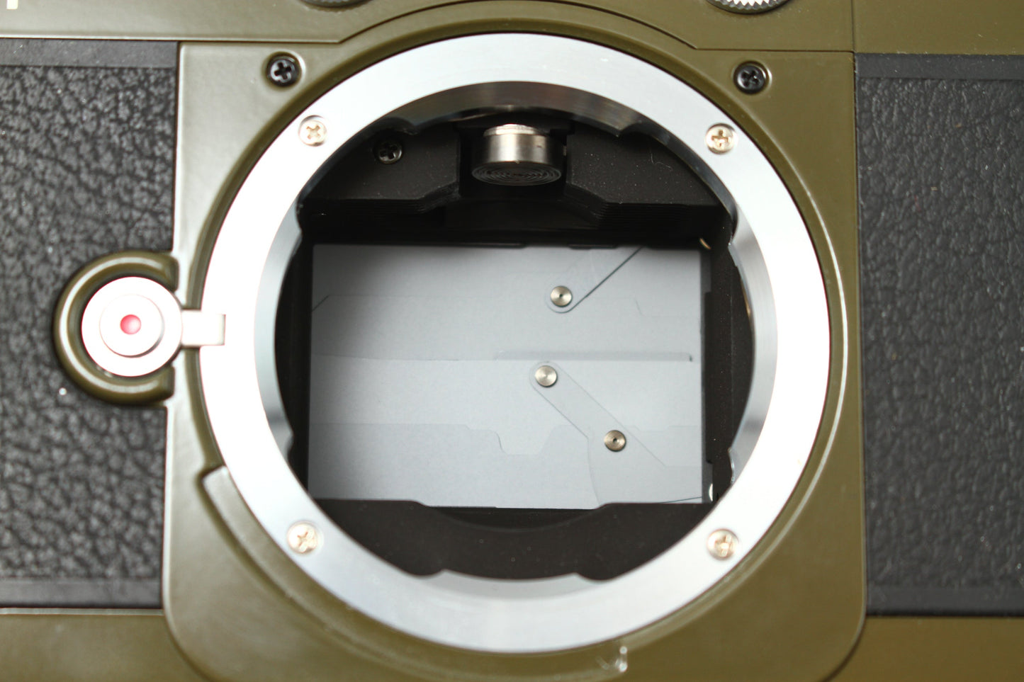 BESSA-T HELIAR 101周年記念モデル  (オリーブ) + HELIAR 50/3.5