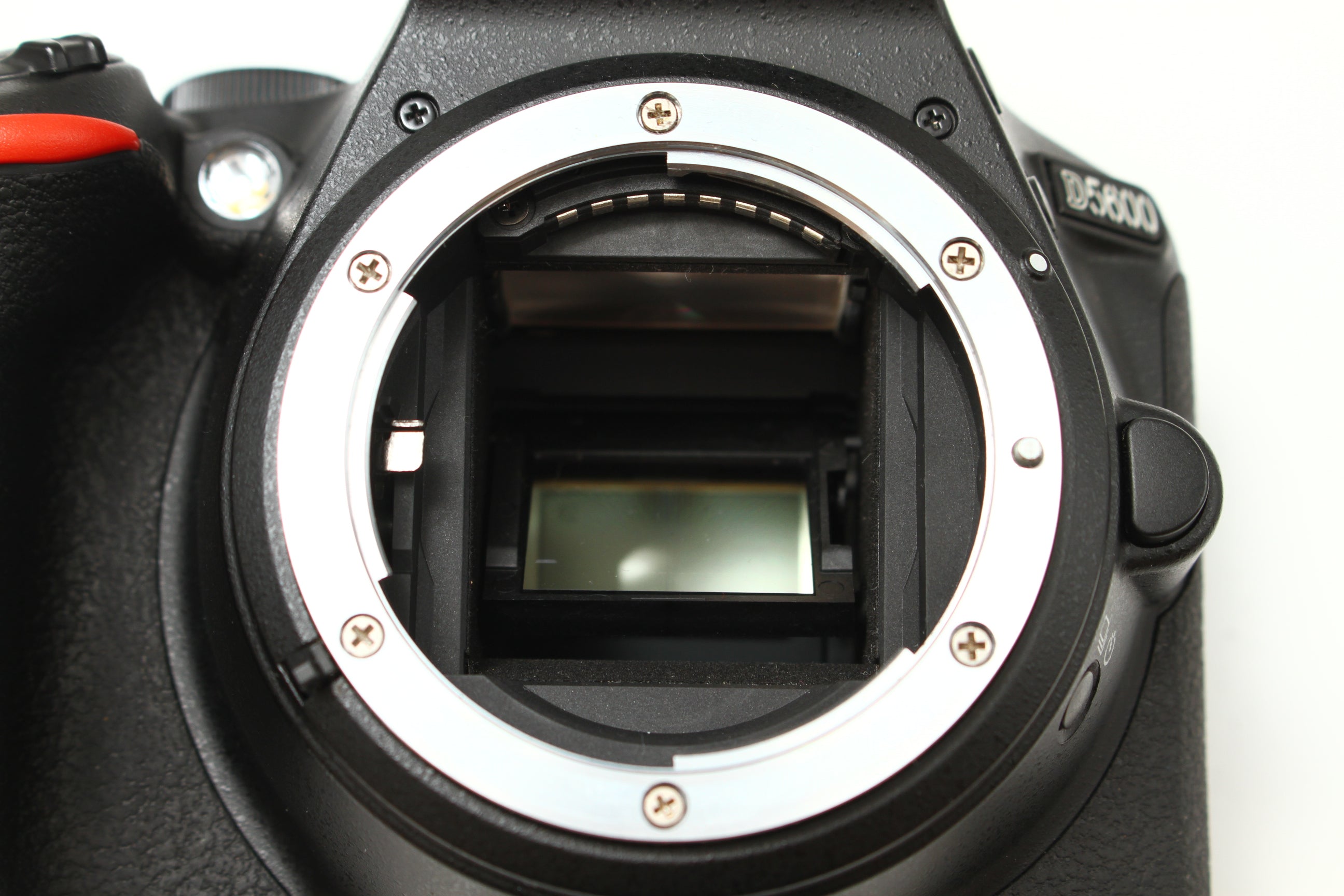 Nikon (ニコン) D5600 デジタルカメラ 一眼レフ – にっしんカメラ