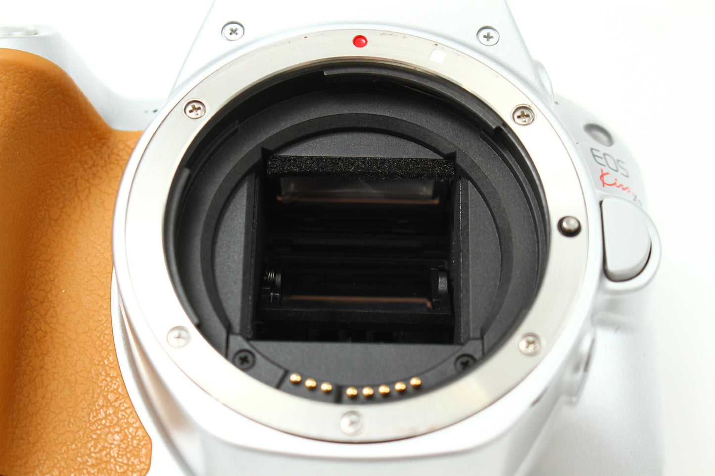 EOS Kiss X9 シルバー + 18-55/4-5.6 IS  STM シルバー レンズキット