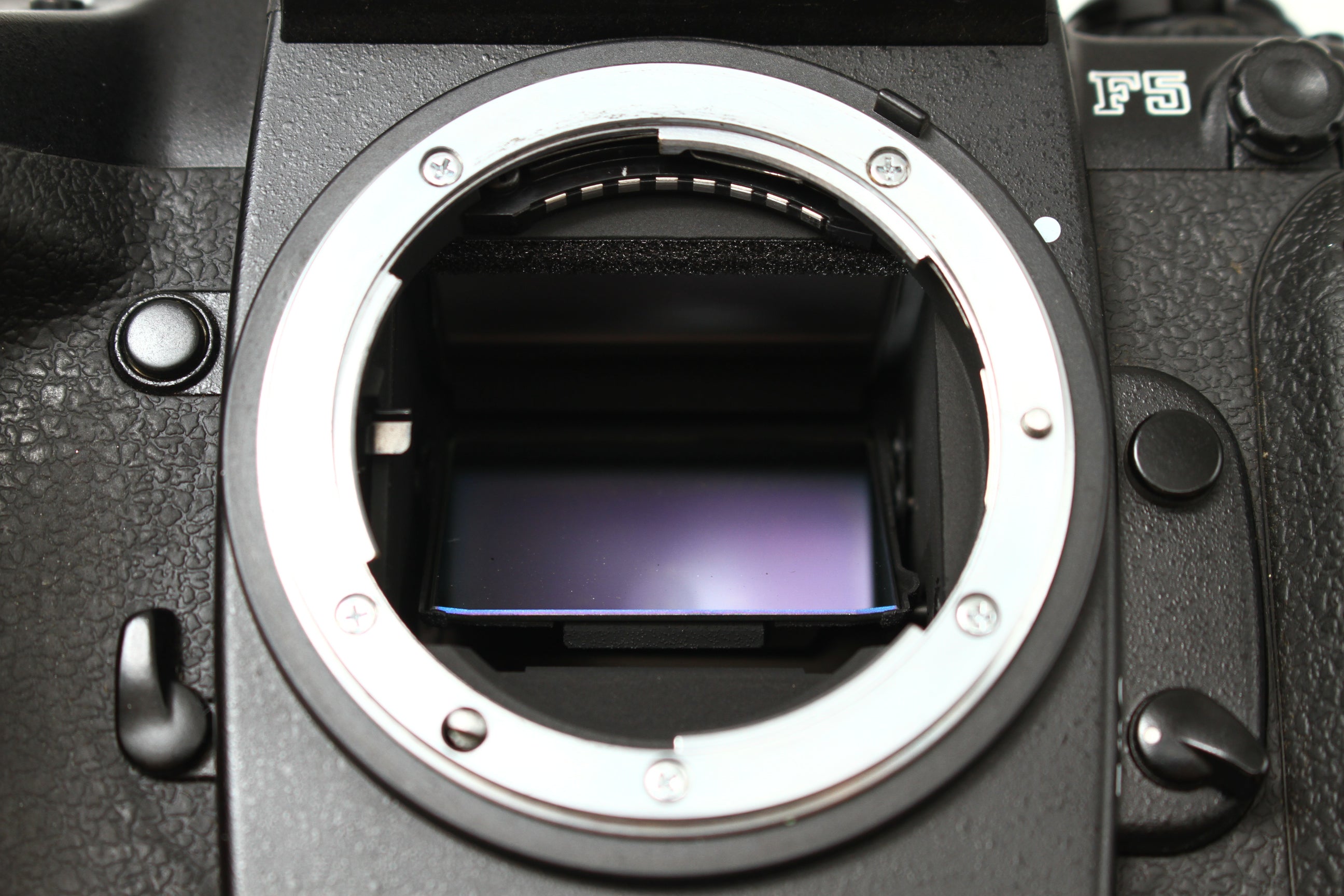 Nikon (ニコン) F5 フィルムカメラ 一眼レフ – にっしんカメラ Nisshin