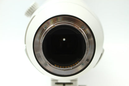 FE 200-600/5.6-6.3 G OSS