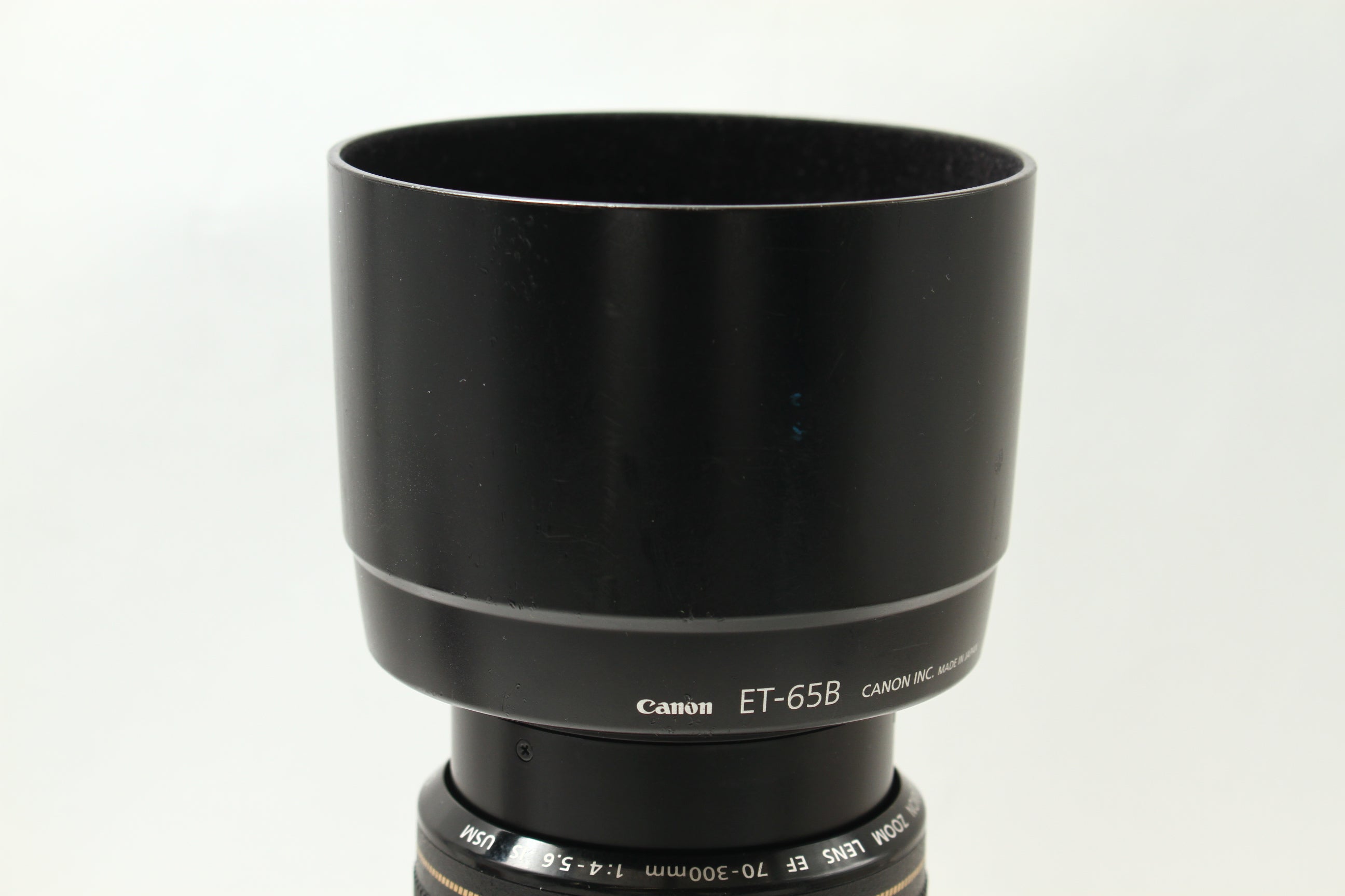 Canon (キヤノン) EF 70-300/4-5.6 IS USM レンズ AF一眼用 – にっしん