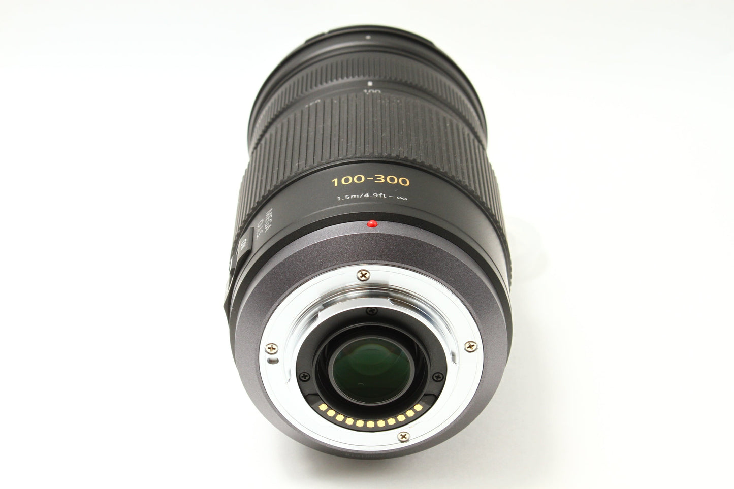 G VARIO 100-300/4-5.6 MEGA O.I.S.