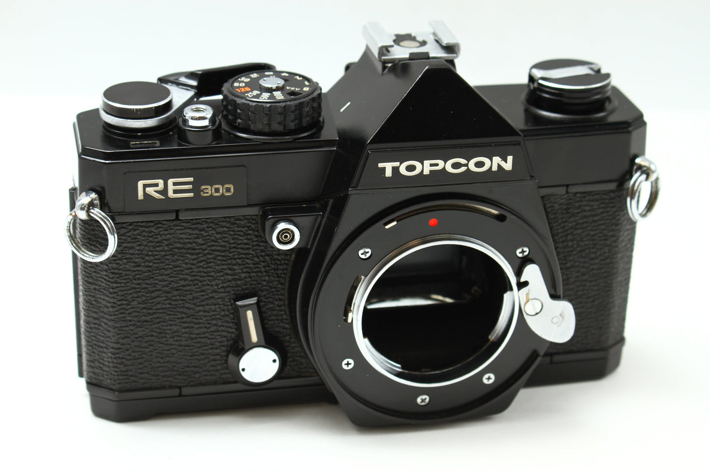 RE300