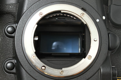 D4