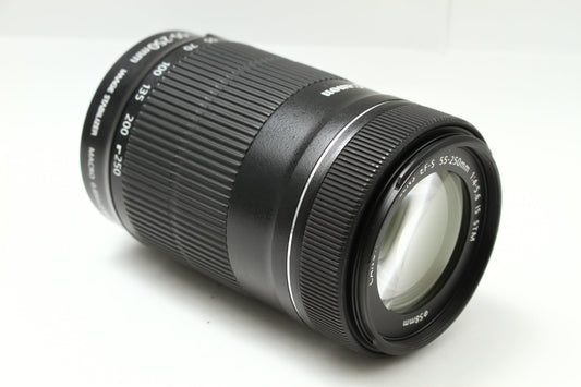 EF-S 55-250/4-5.6 IS STM