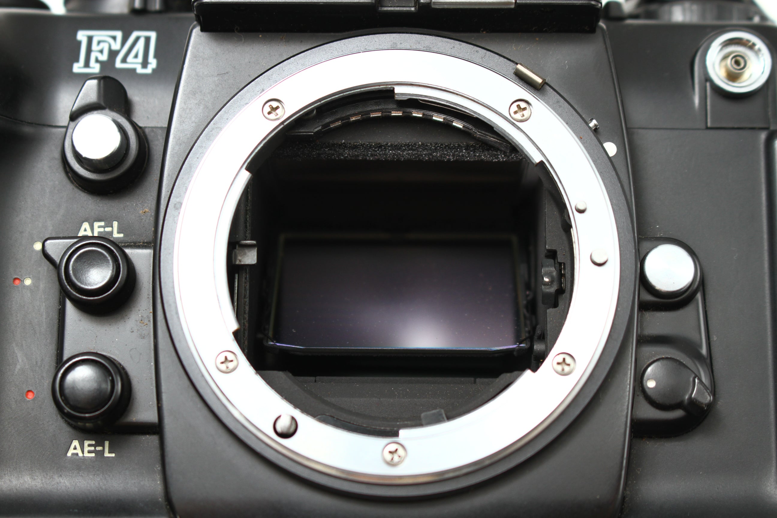 Nikon (ニコン) F4 フィルムカメラ 一眼レフ – にっしんカメラ Nisshin