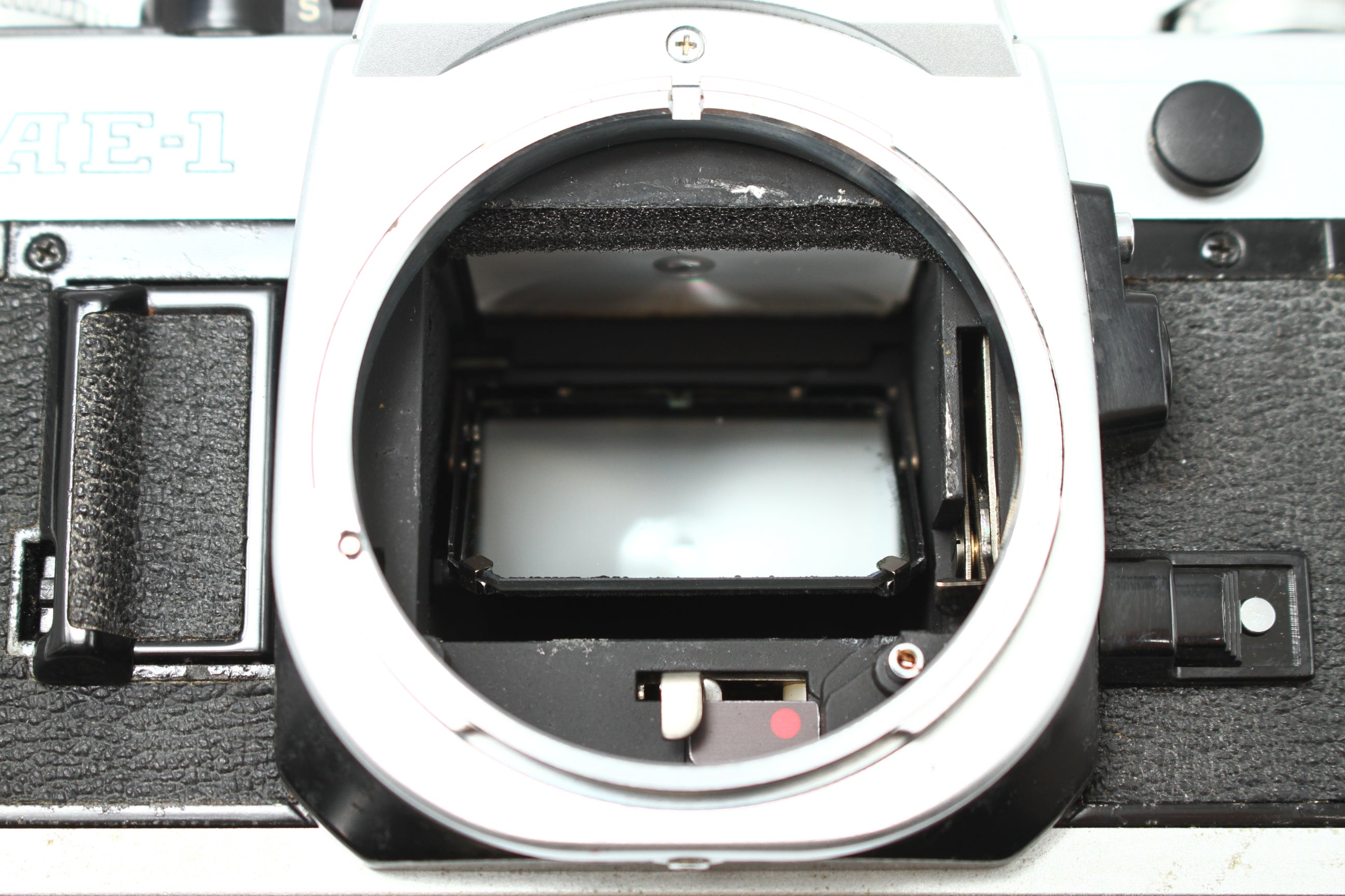 Canon (キヤノン) AE-1 シルバー フィルムカメラ 一眼レフ – にっしん