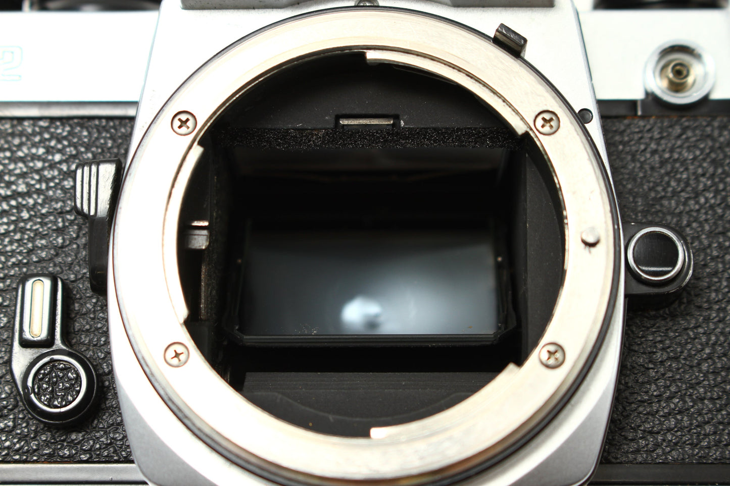 New FM2 シルバー