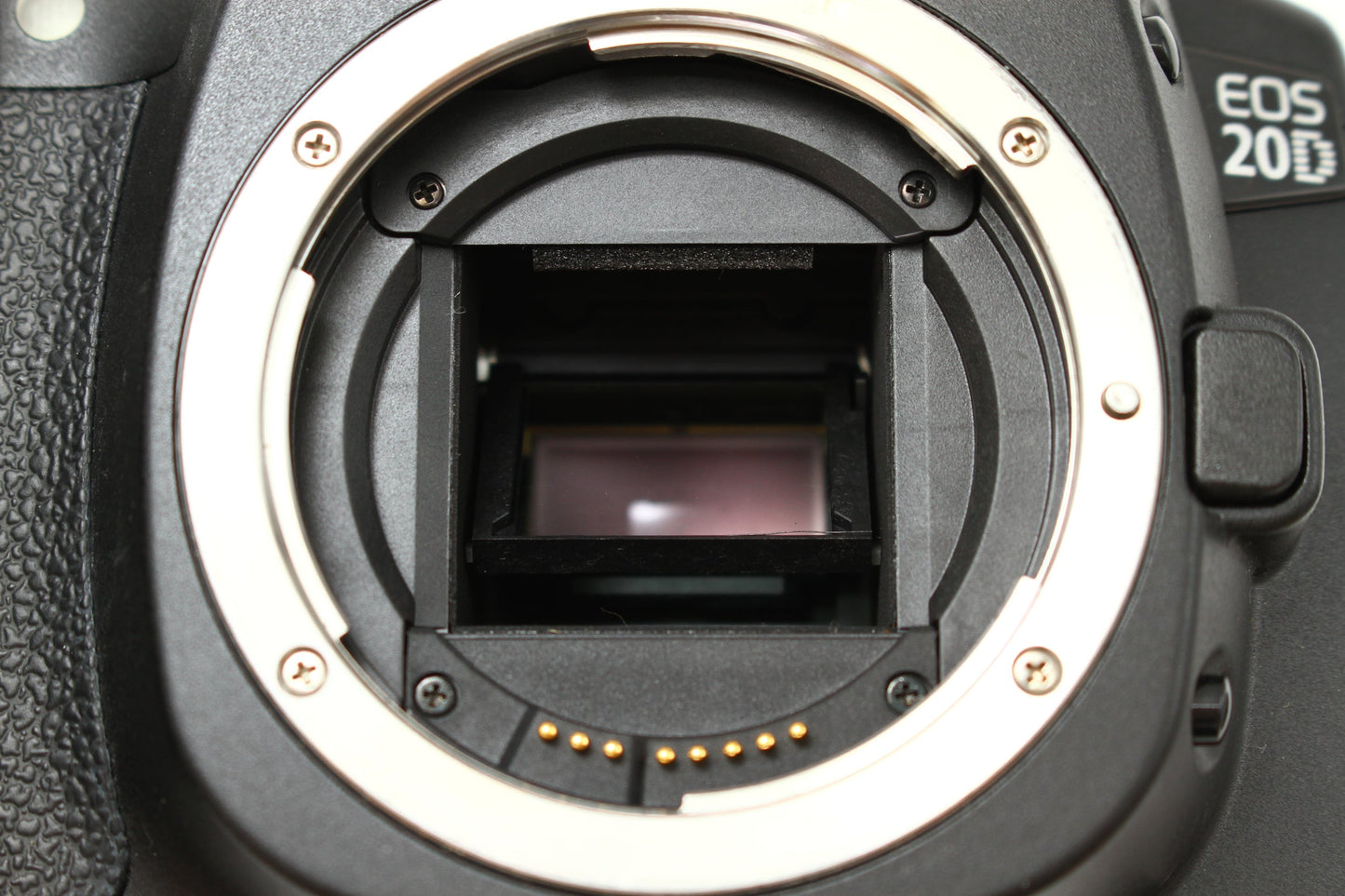 EOS 20D