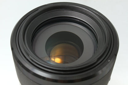 70-300/4.5-5.6 G SSM SAL70300G (Aマウント)