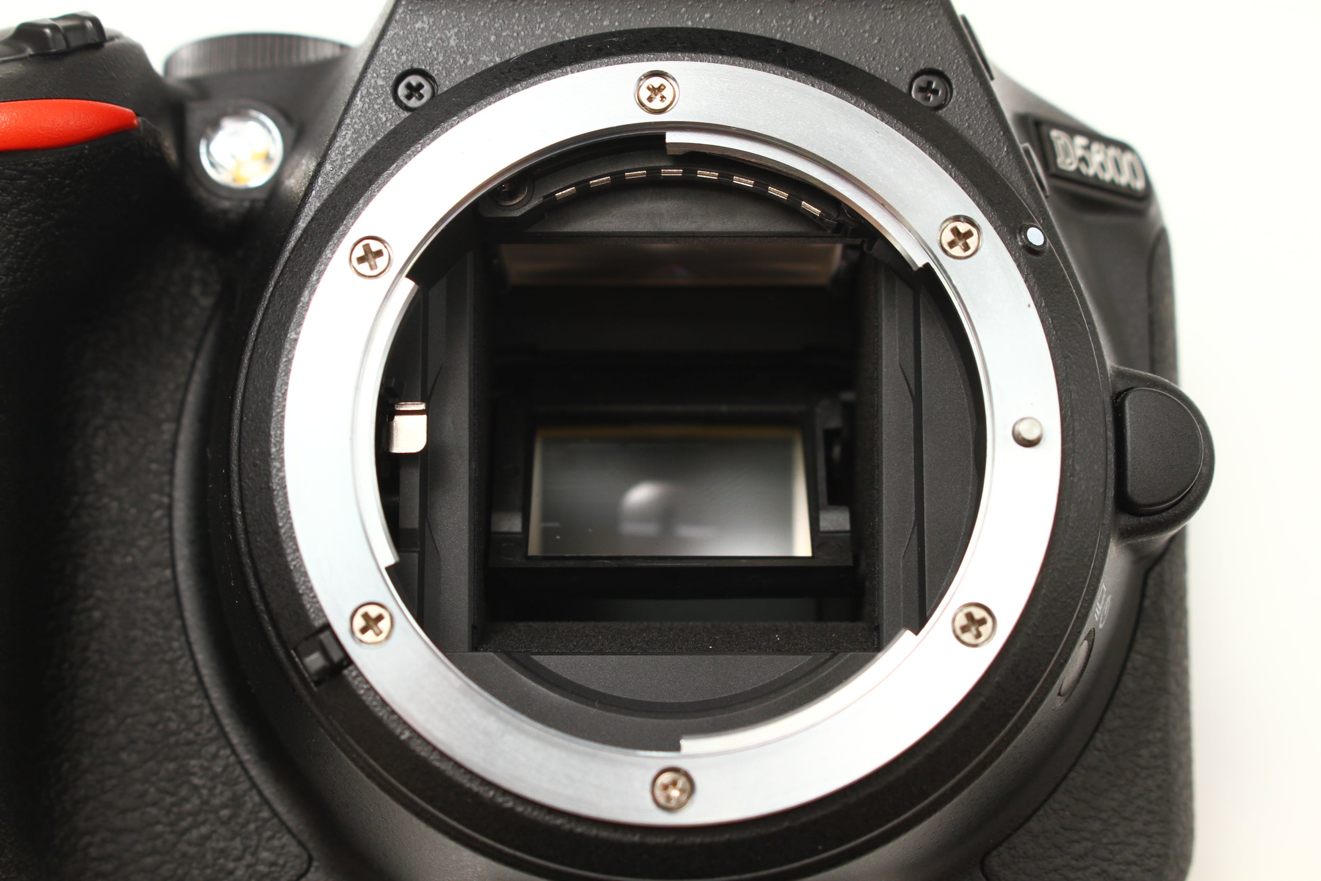 Nikon (ニコン) D5600 デジタルカメラ 一眼レフ – にっしんカメラ