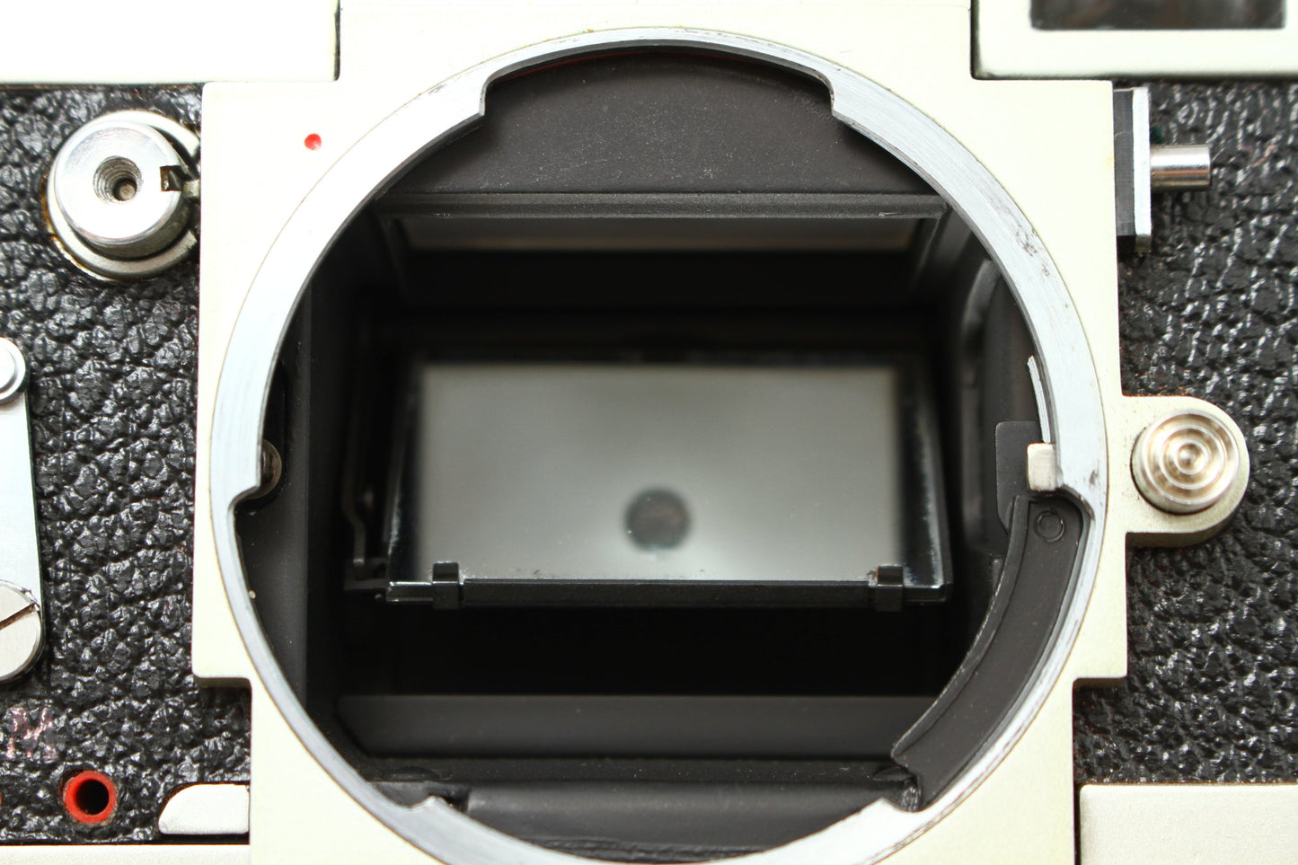 Reflex Mod.6 + KERN SWITAR 50/1.8 AR + Distagon 25/2.8