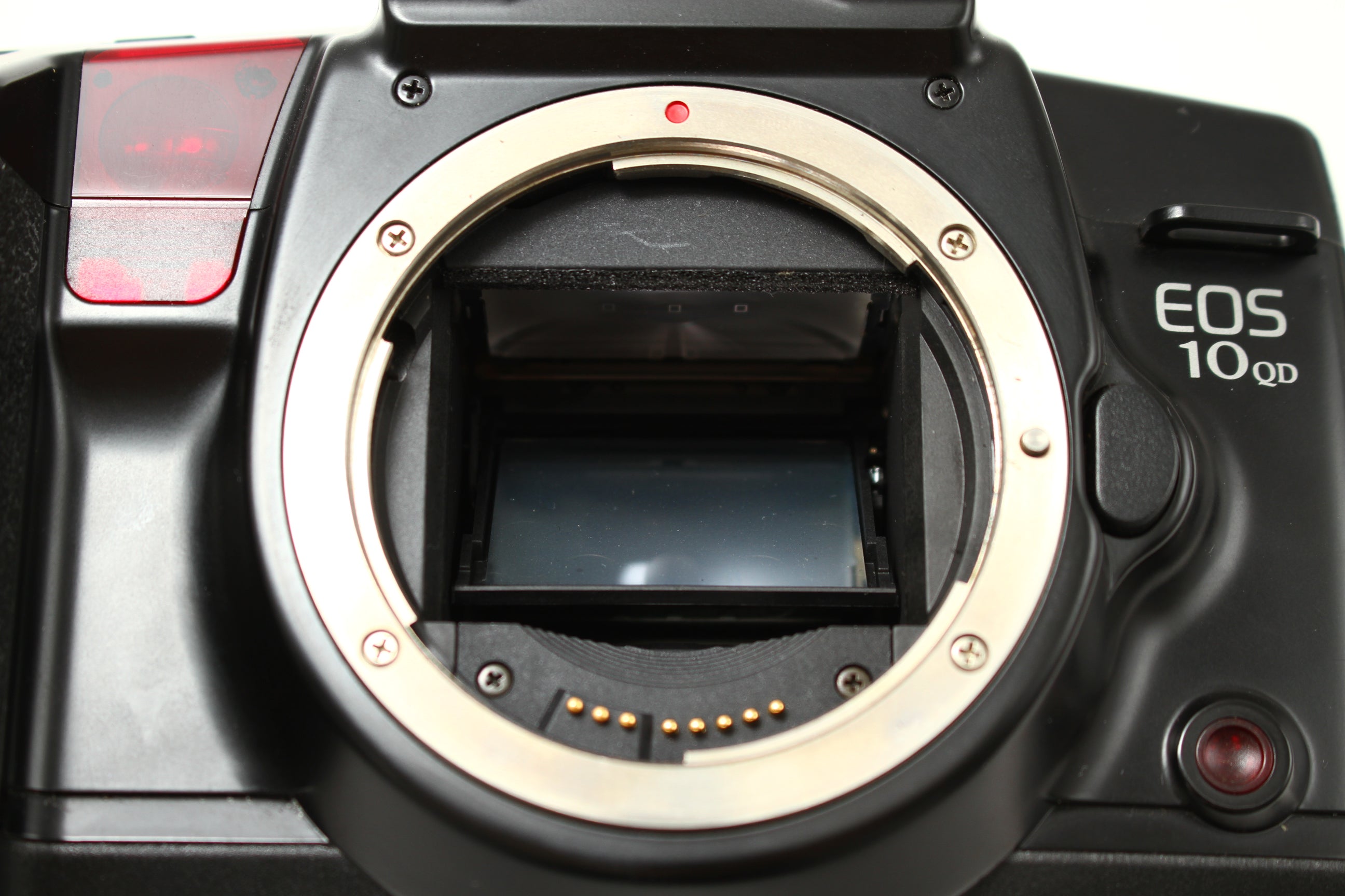 Canon (キヤノン) EOS 10 QD フィルムカメラ 一眼レフ – にっしん