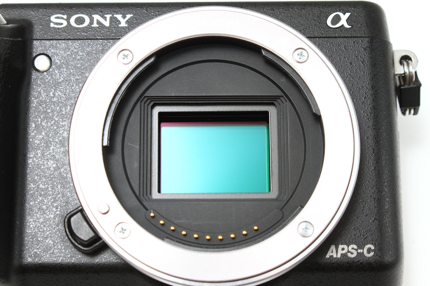 NEX-6 + E PZ 16-50 OSS  レンズキット
