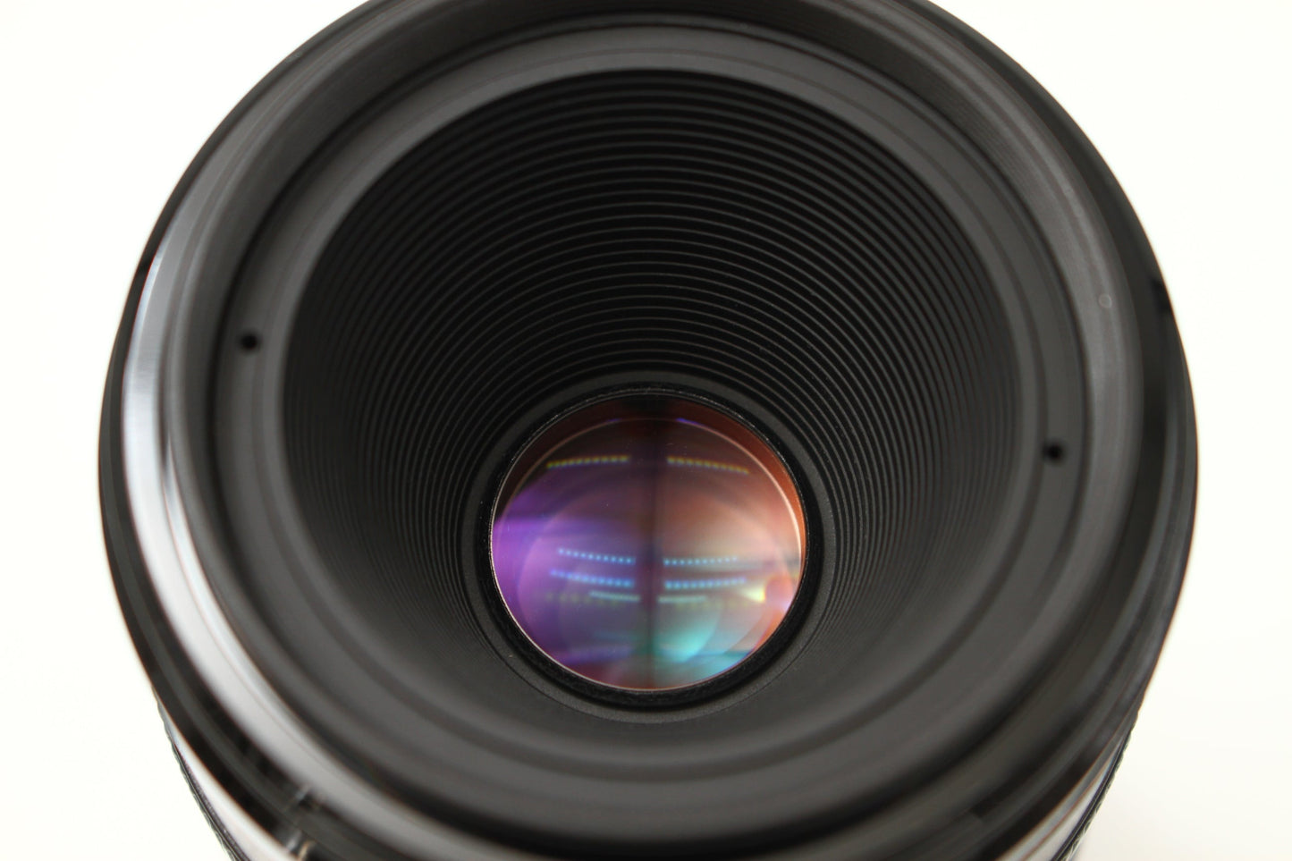 EF 50/2.5 COMPACT-MACRO + ライフサイズコンバーターEF